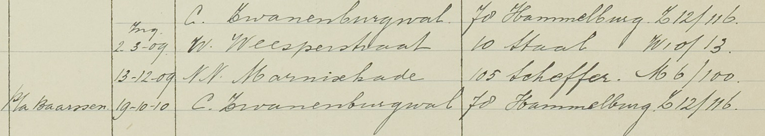 Johanna Elizabeth Hoogeveen