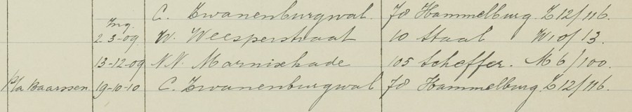 Johanna Elizabeth Hoogeveen